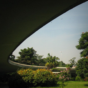 CURVAS DO IBIRAPUERA