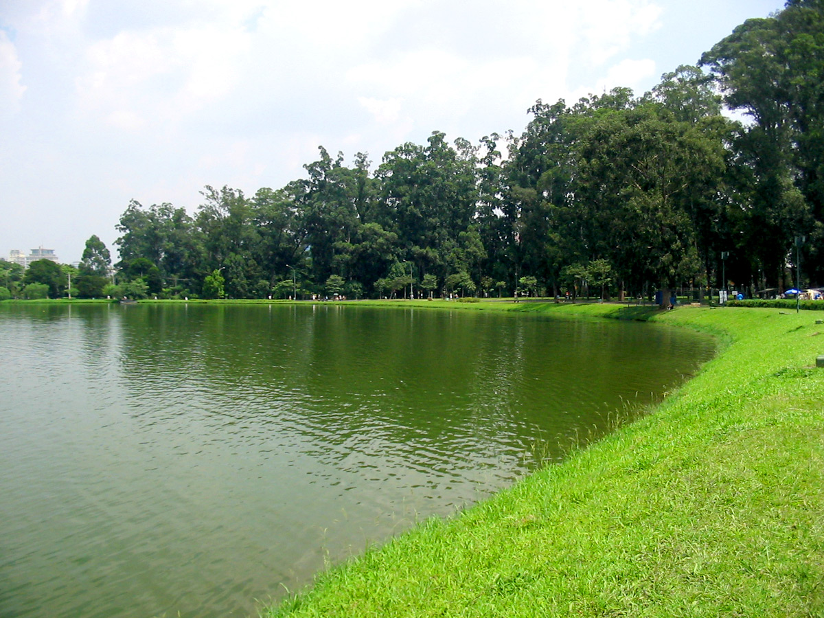  CURVAS DO IBIRAPUERA - LAGO